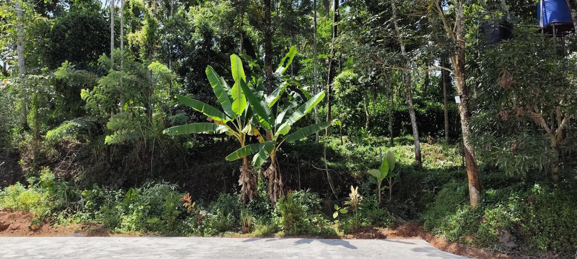Spice Garden Farm House Sultan Bathery Exterior photo