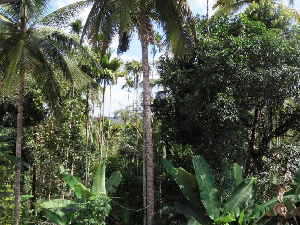 Spice Garden Farm House Sultan Bathery Exterior photo